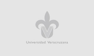 Imagen generica de la flor de liz para esta sección