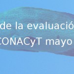 Imagen Evaluación CONACyT 2013