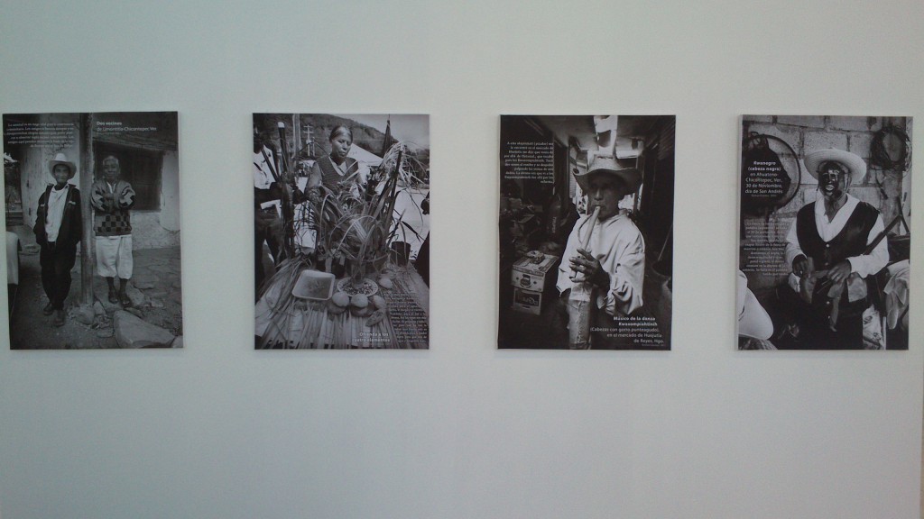 Que viva el Son (10)