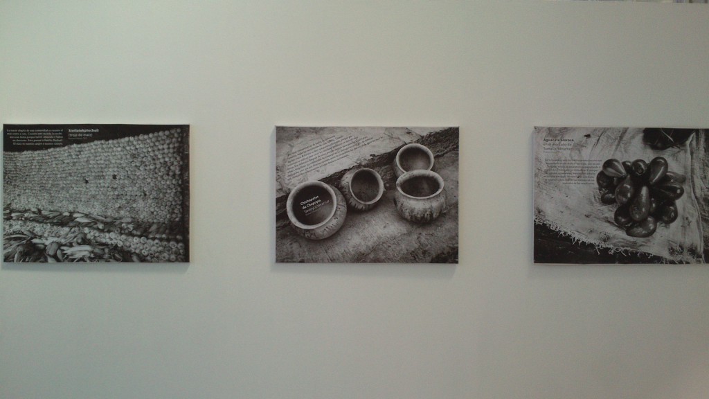 Que viva el Son (11)