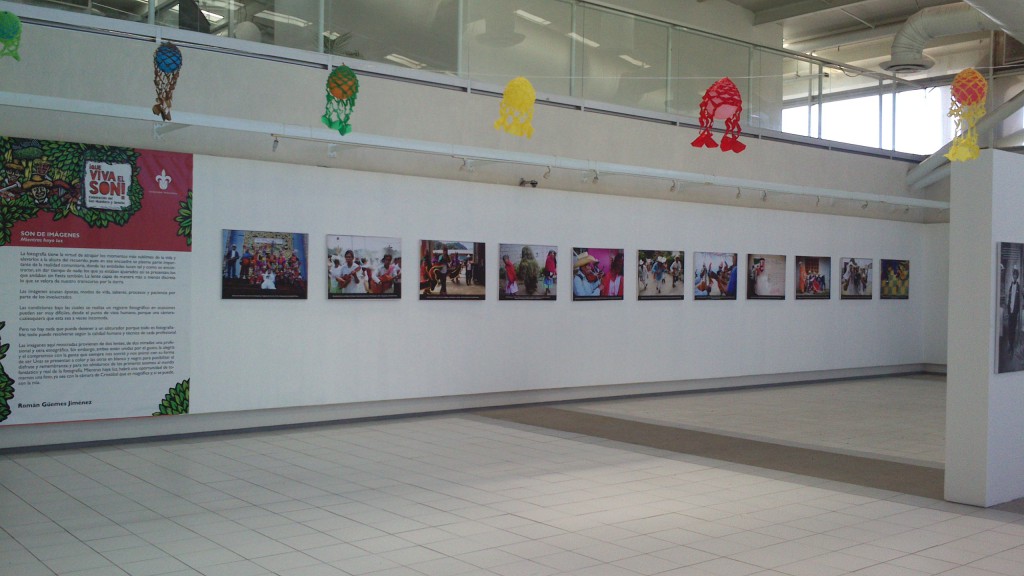 Que viva el Son (13)