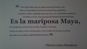 Exposición 29 enero (22)