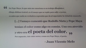 Exposición 29 enero (36)