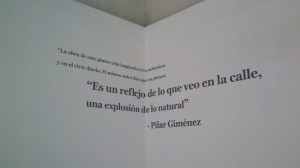 Exposición 29 enero (38)