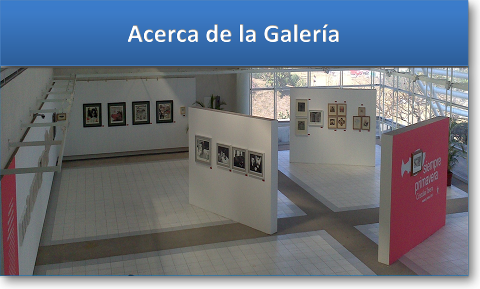 Acerca de la galería