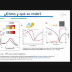 Imagen Participando en el Foro Transdisciplinario