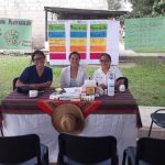 Imagen Brigadistas en La Chinantla participan en la celebración del Adulto Mayor