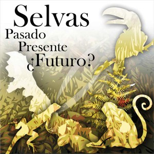 porta-CD-Selvas-Veracruzanas