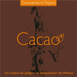 porta-CD-cacao
