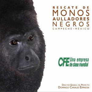 porta-CD-rescate-de-monos-aulladores-negros